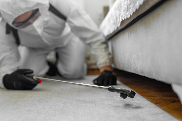 Professional Bed Bug Control technician working in Jordan, NY