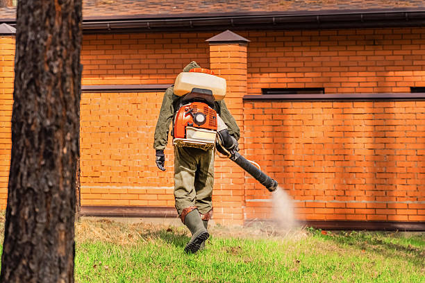 Trusted Bed Bug Control service in Jordan, NY - Nex Pest Control